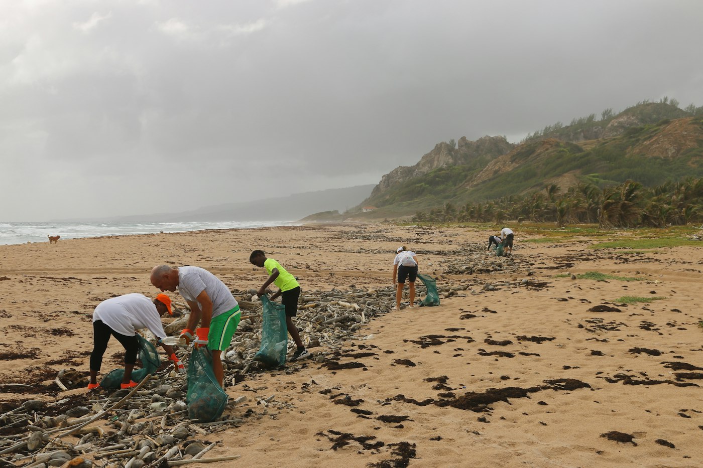 Volunteers with collection bags picking up debris along a rocky shoreline