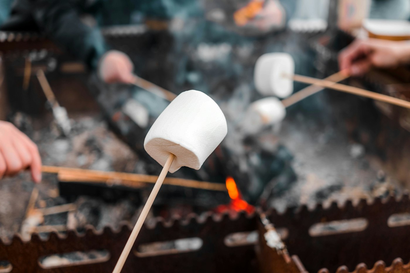 Marshmallows toasting on sticks over a campfire